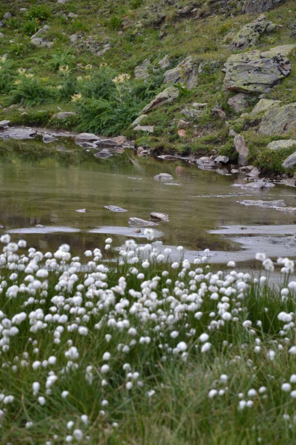 Appartamento Chasa Val Bella Samnaun Esterno foto